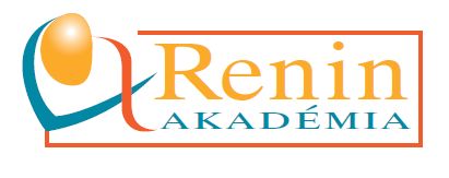 Renin Akadémia